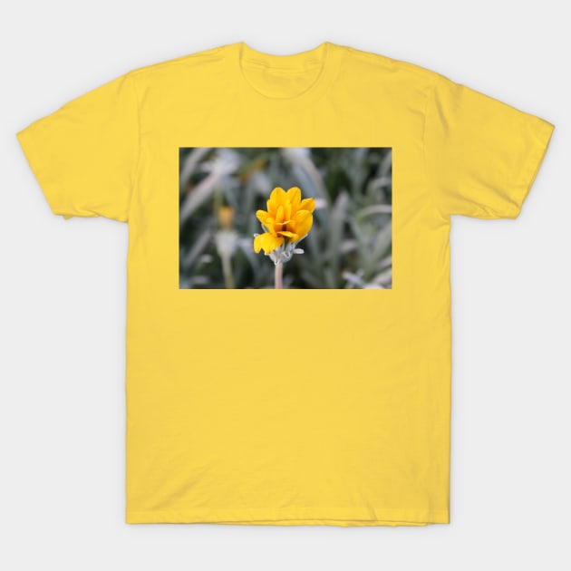 Yellow Flower Close-Up Photo T-Shirt by Christine aka stine1